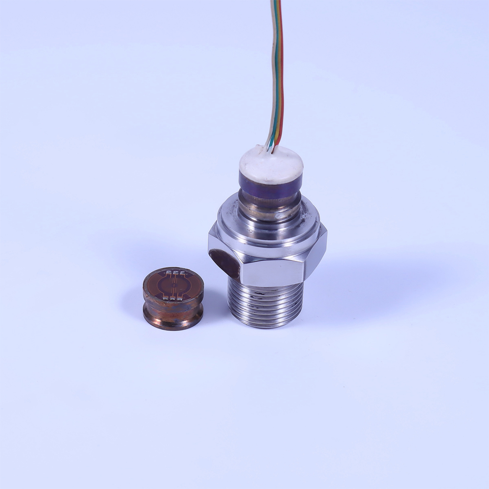 應變式壓力芯體 PT500-301